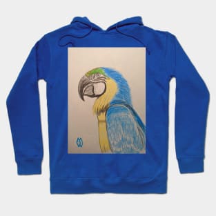 Macaw parrot study Hoodie